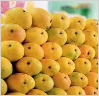 Himayath Mangoes