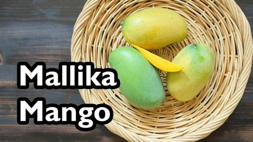 Mango Mallika