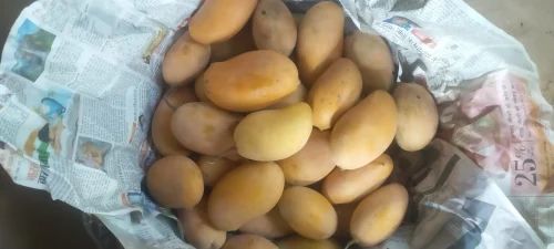 Mallika Mango