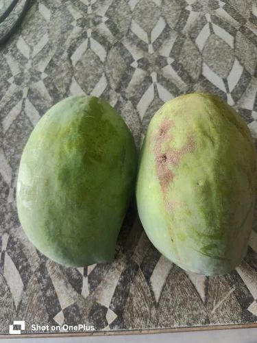Mallika Mango