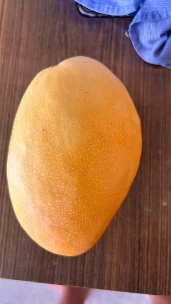 Mallika Mango