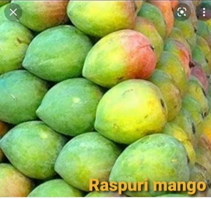 Mango Raspuri