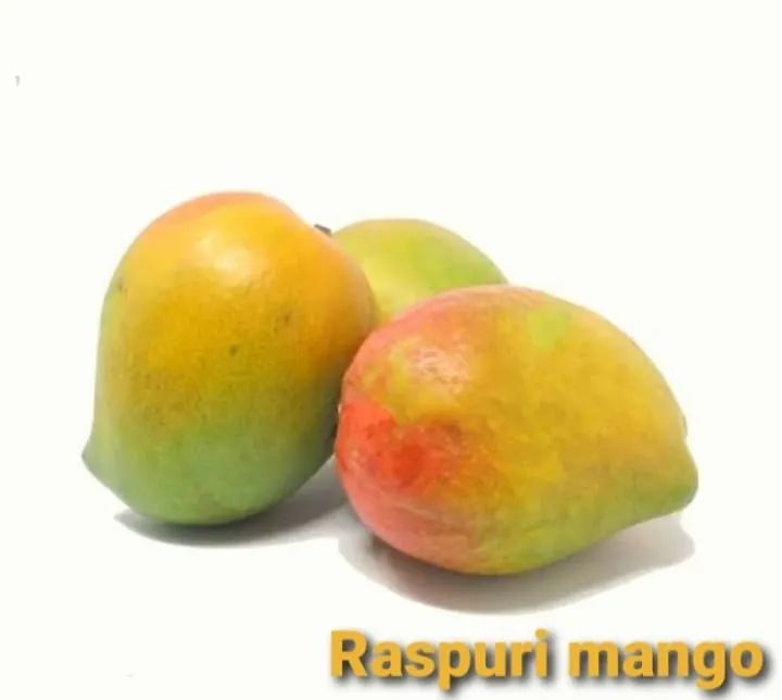 Raspuri Mango