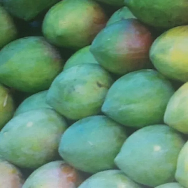 Raspuri Mango