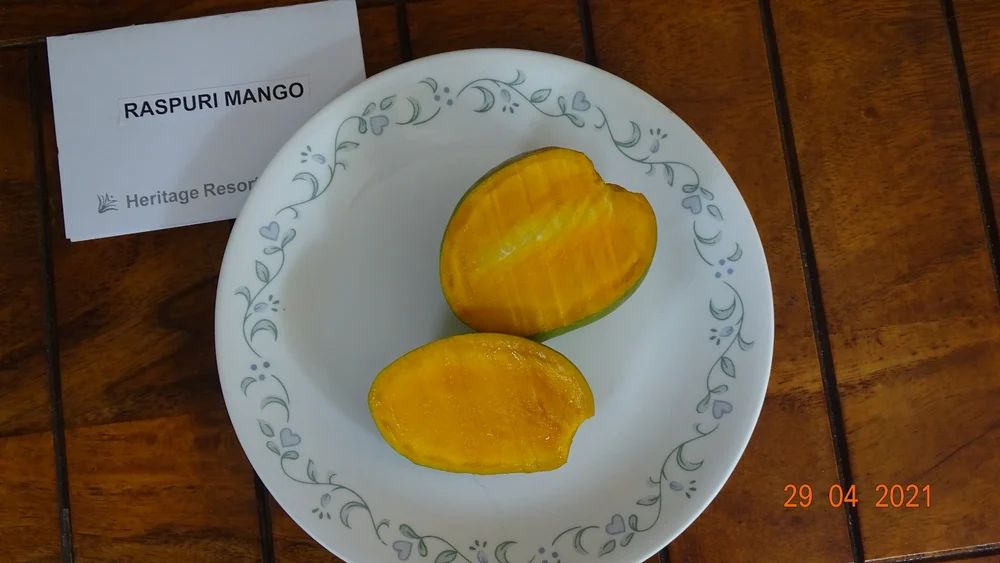 Raspuri Mango