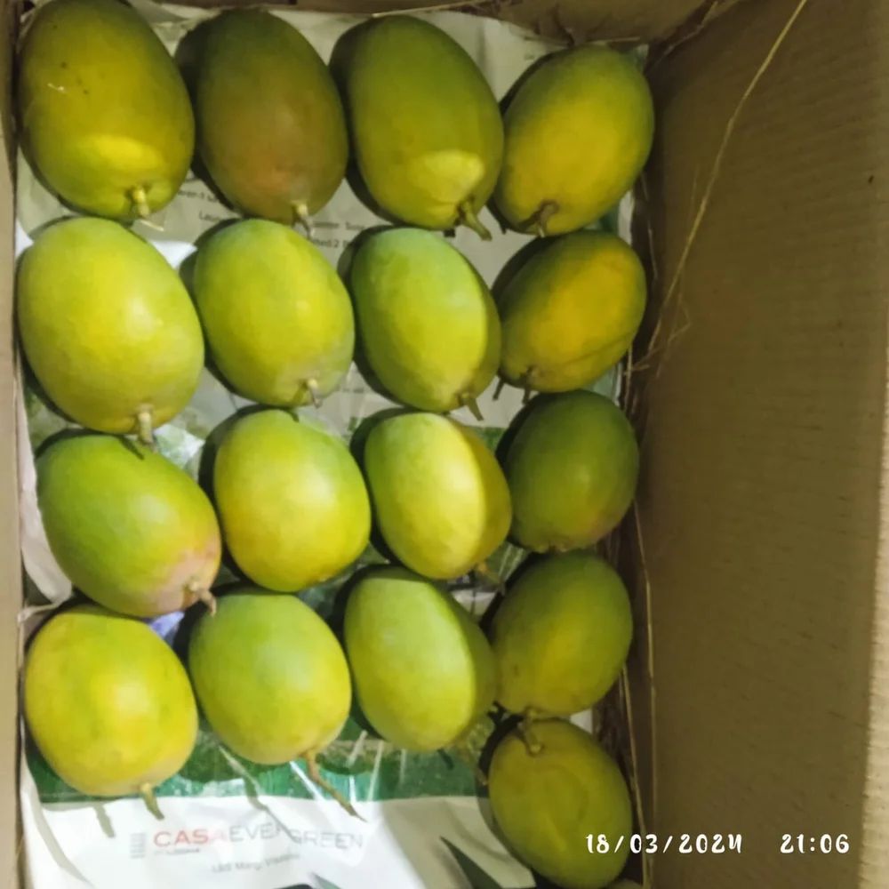 Raspuri Mangoes