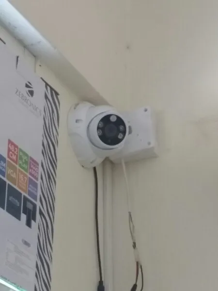 Pir Motion Sensor Dome Camera
