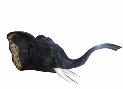 Elephant Face Fiber Statue