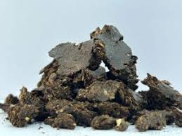 Neem Oil Kernel Cake