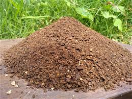 Neem oil cake organic manure