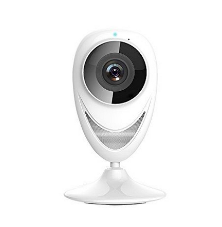 Motion Detector Security Camera