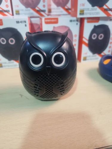 Child monitor owl camera