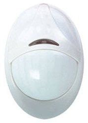 Wireless PIR Camera