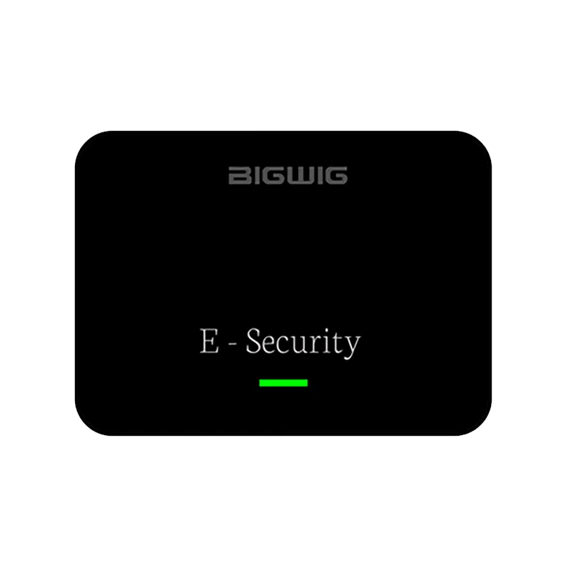 Enhanced Security System