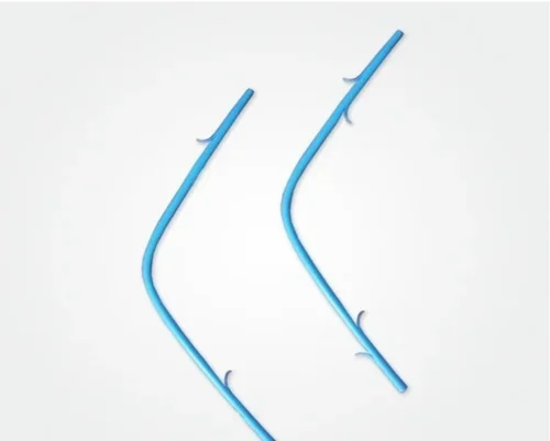 Biliary Pancreatic Stents Plastic Biliary And Pancreatic Stents