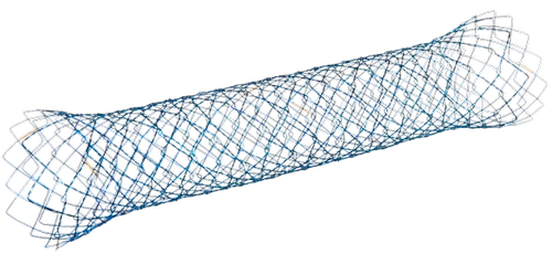 METAL BILIARY STENT