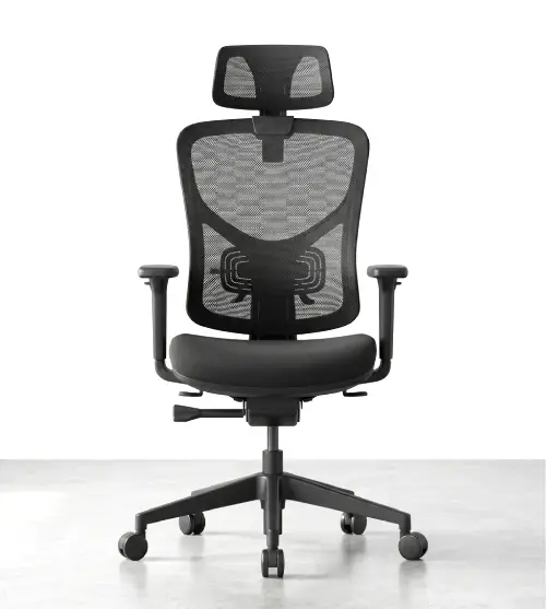 Ergonomic Chair