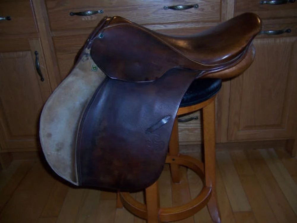 Horse 85
