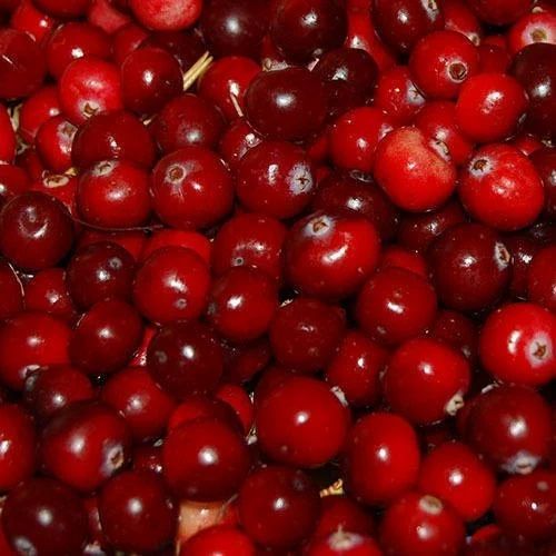 Cranberry Flavour Essence