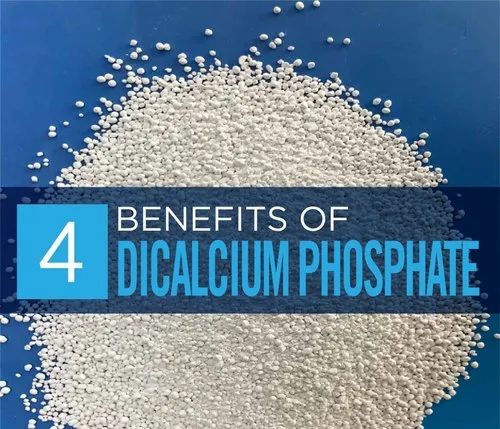 Dibasic Calcium Phosphate Dihydrate IP (25 Kg)