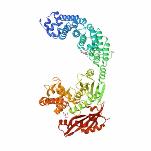 Collagenase(COLLAGENASE G), Technical Grade