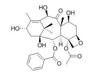 10-Deacetylbaccatin III, Packaging Type: Aluminium Container, Packaging Size: 1kg 5 kg 10kg