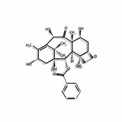 10 Deacetyl Baccatin III