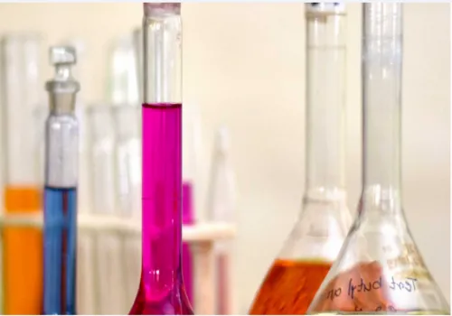 Pharmaceutical Intermediates