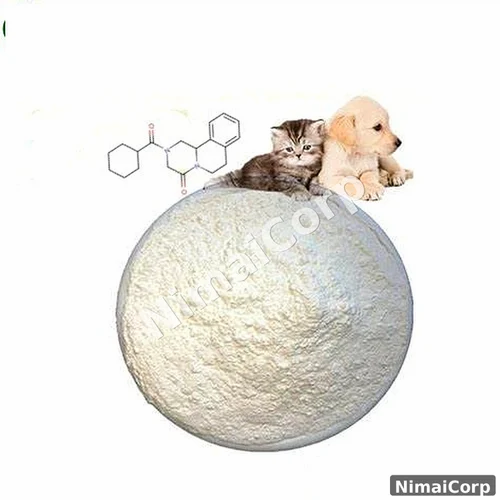 Praziquantel API Powder