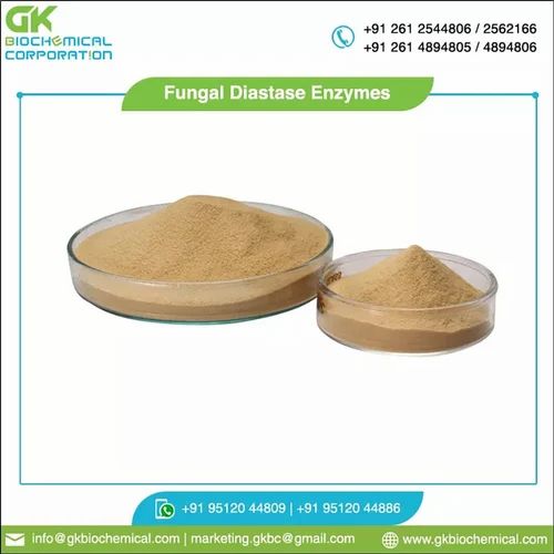 Fungal Diastase Enzyme Powder