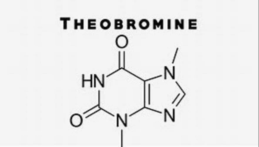 Theobromine