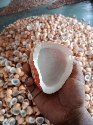 Half Cut Coconut Copra