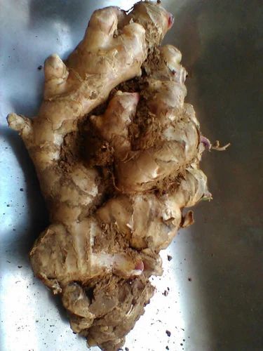 Organic Fresh Ginger
