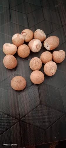 Charli Supari, Whole (Gota)