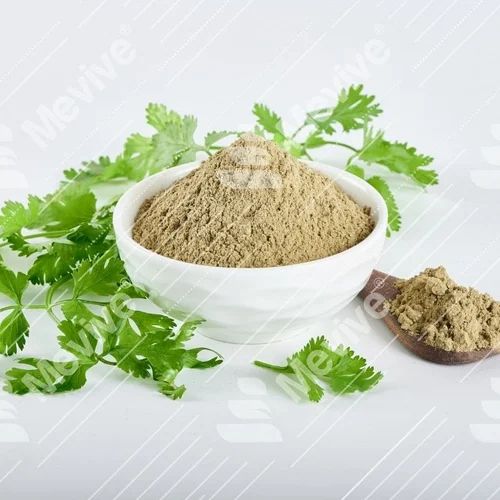 Coriander Leaves Powder, Packaging Size: 5 kg, Packaging Type: Box