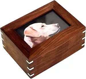 Pet Ashes