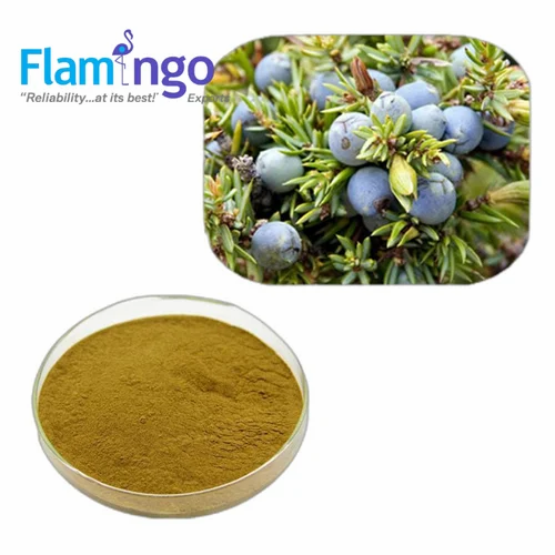 Juniper Berries Extract
