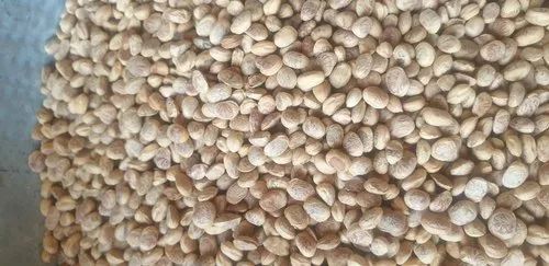 Dry Charoli Buchanaian Lanzan Seed, Packaging Size: 10 Kg