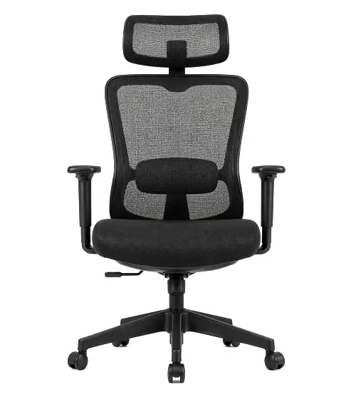 Back Comfort Chair 