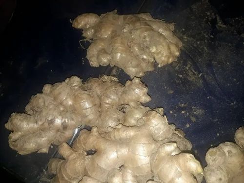 Organic Fresh Ginger