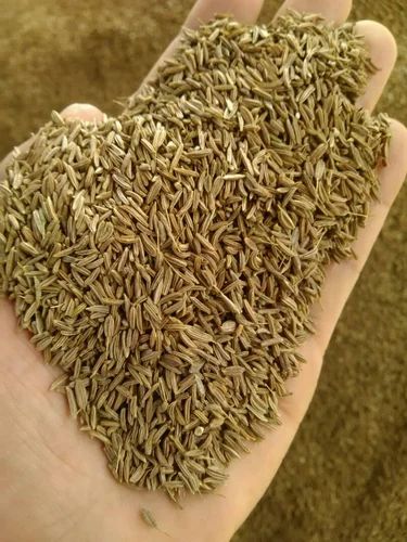 Organic Cumin Seeds