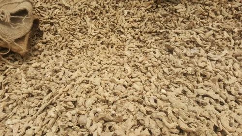 Organic Dry Ginger, Packaging Size: 200g, Packaging: Packet