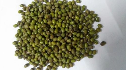 Angel Indian Green Mung Bean, Organic
