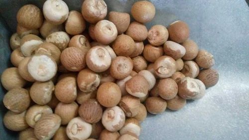Betel Nut Supari