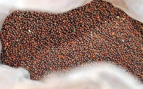 Angel Kilogram Split Mustard Seeds, For Making Pickle
