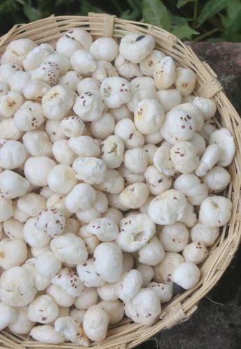 Eka Earth Phool Makhana, 4+ Suta, 4+ Suta
