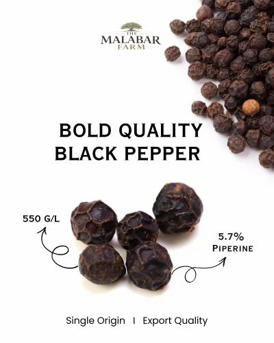 Malabar Black Pepper Whole Bold Grade, Kerala Origin, Bulk Supplier & Exporter