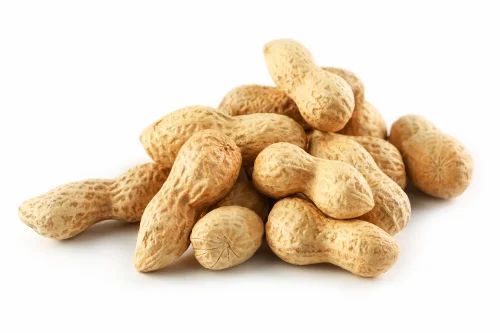 Bold Whole Groundnut Peanut