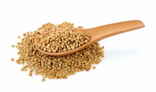 Single Parrot Coriander Seeds