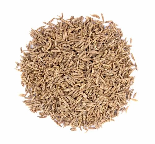 Cumin Seeds Singapore 99